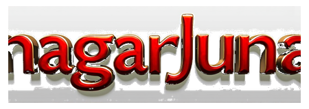 nagarjuna logo